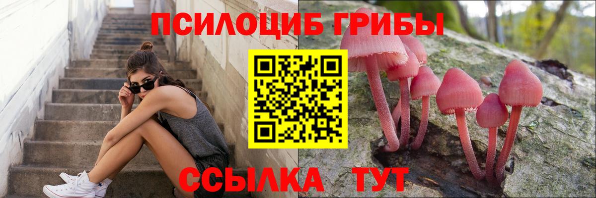 Мичуринск  Галлюциногенные грибы Psilocybine cubensis  Вход с VPN 